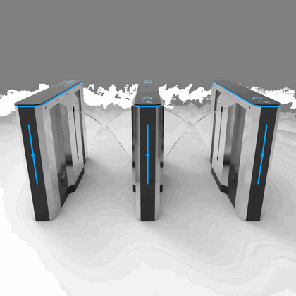PEDESTRIAN ACCESS CONTROL SYSTEM​